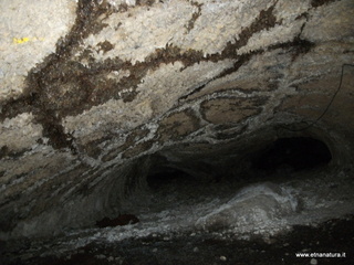 otta Petralia-17-03-2013 10-06-31